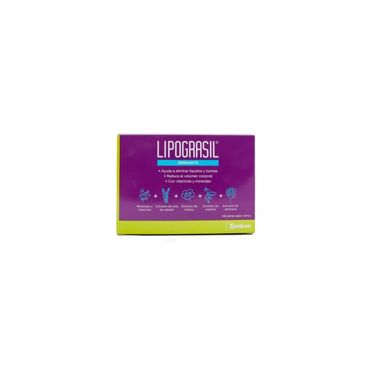 LIPOGRASIL DRENANTE (8G 14 SOBRES CITRICOS)